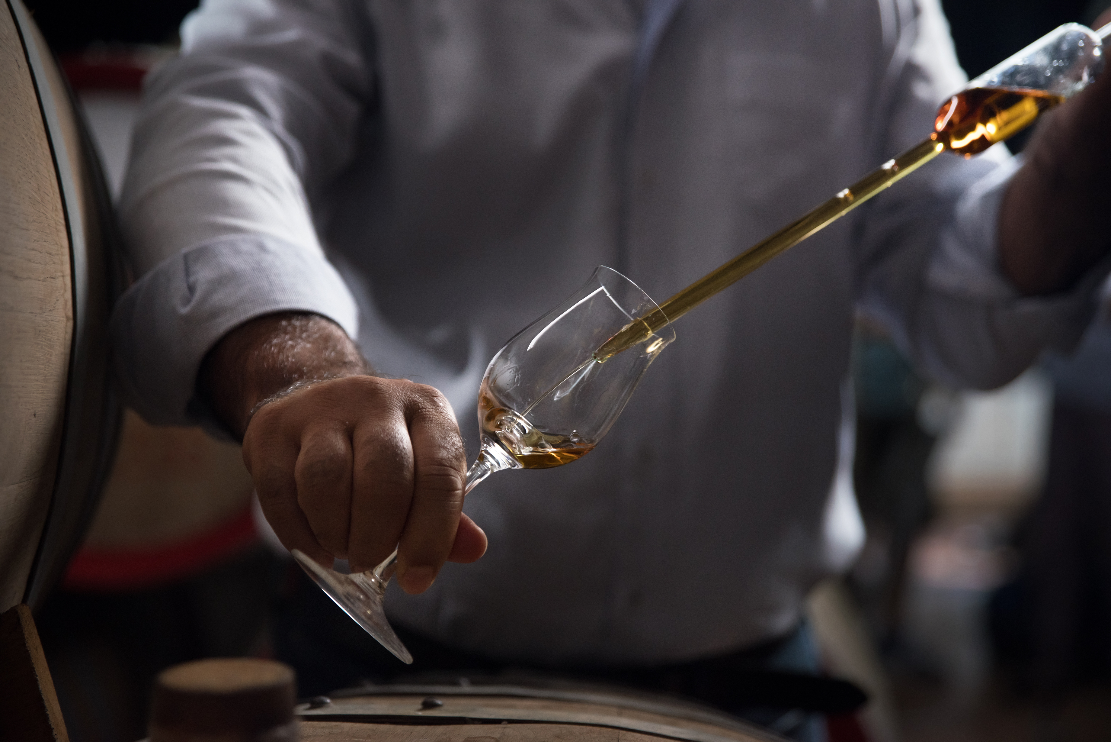 The Cognac Society - Tasting